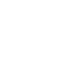 HERMES IYELE LOGO IN WHITE